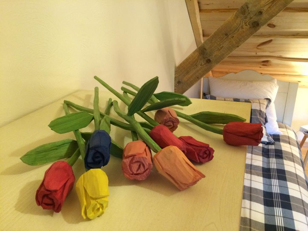Siedlisko Grabinowo K/Olsztyna Villa Luaran gambar