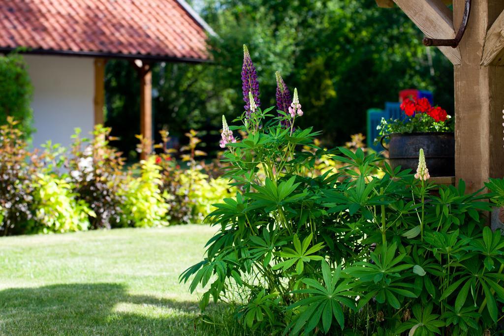 Siedlisko Grabinowo K/Olsztyna Villa Luaran gambar